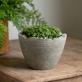 Photo of Campania Broken Egg Planter Mini - Marquis Gardens